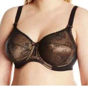 Elomi Imogen bra Elegant Black copper Lace embroidered NEW 36H underwire